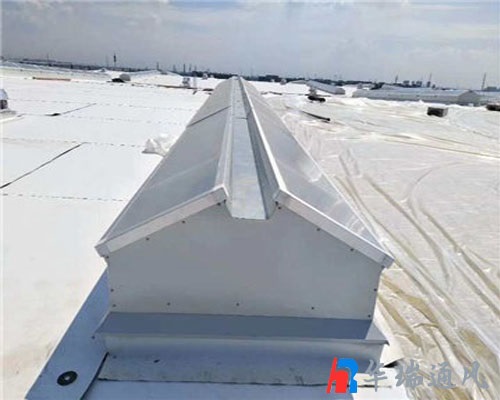 �綯���̴�