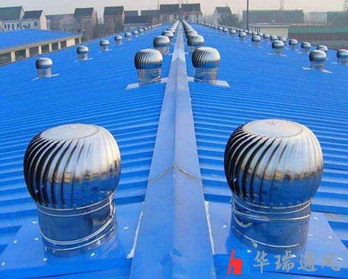 �޶������